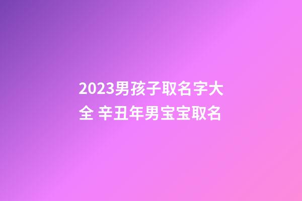 2023男孩子取名字大全 辛丑年男宝宝取名